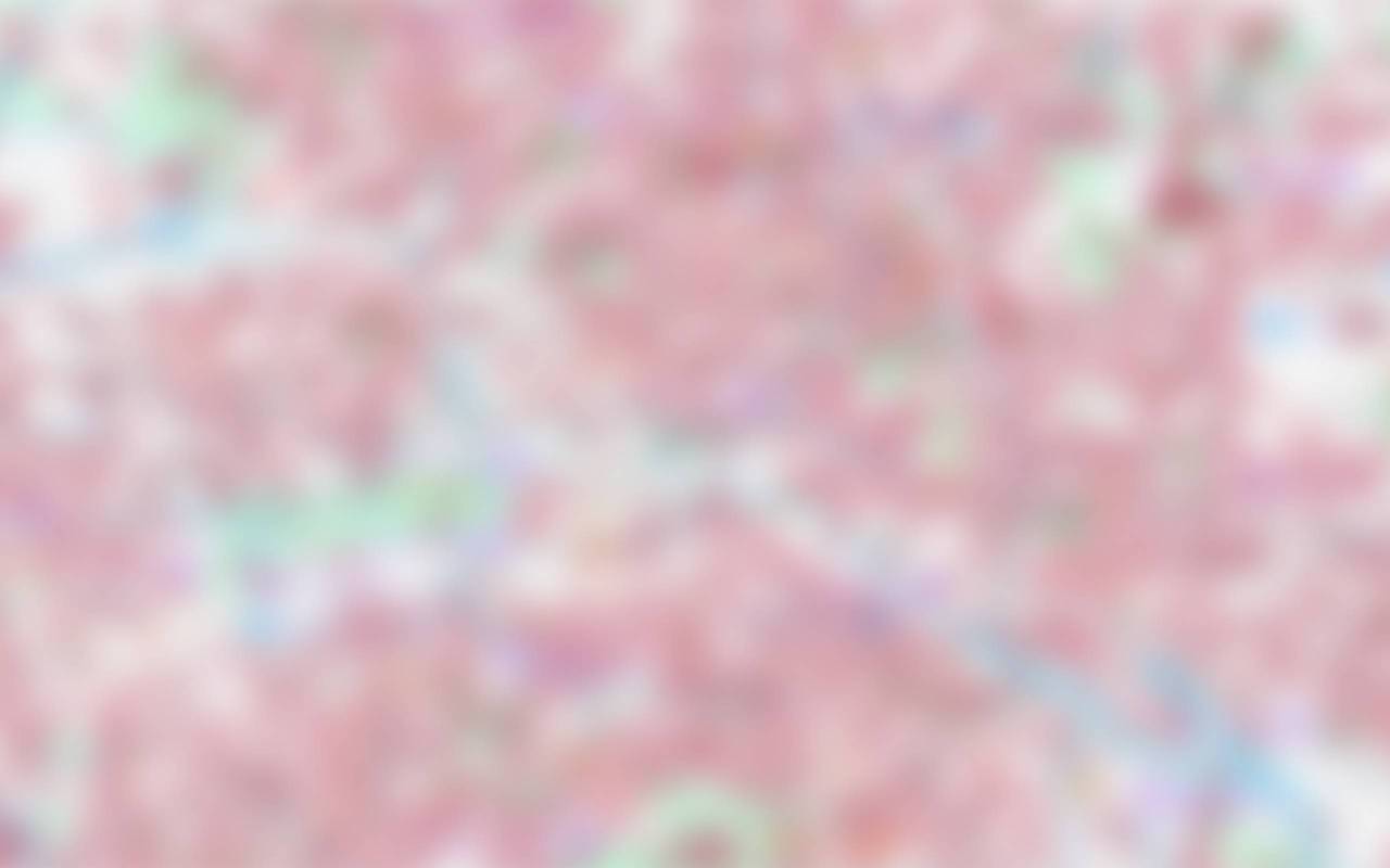 Low-resolution preview of the map