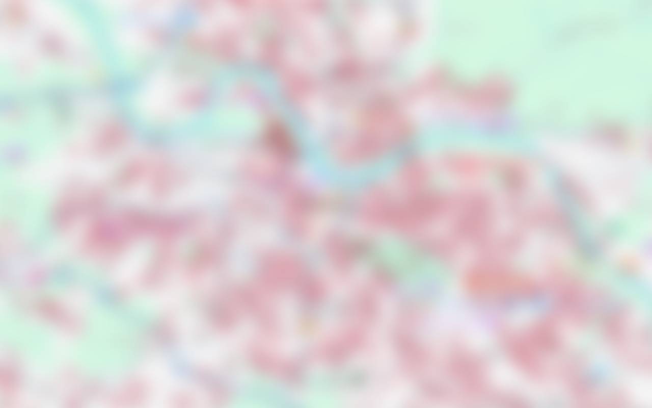 Low-resolution preview of the map