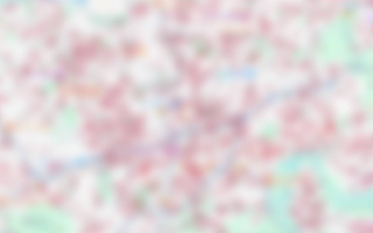 Low-resolution preview of the map