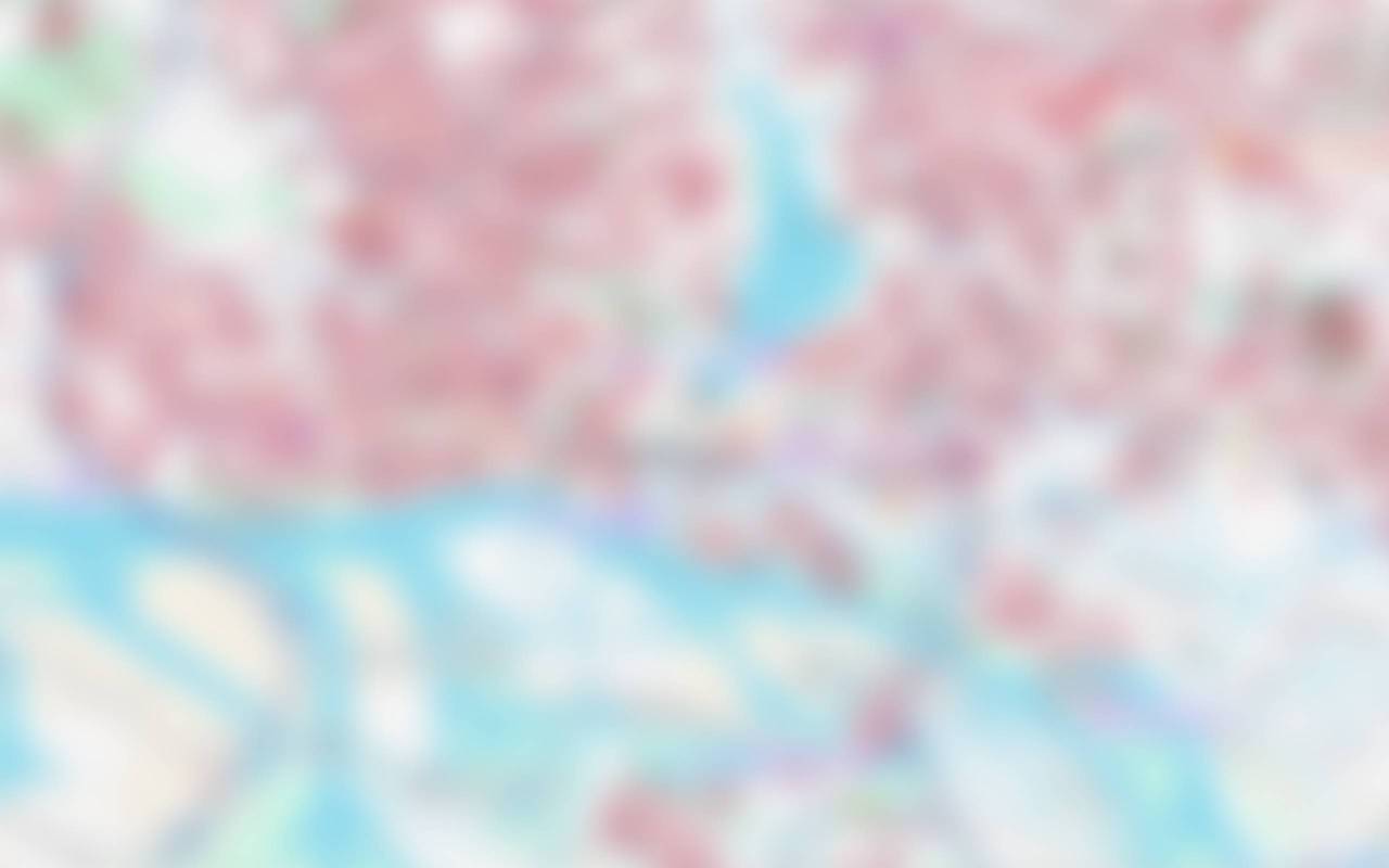 Low-resolution preview of the map