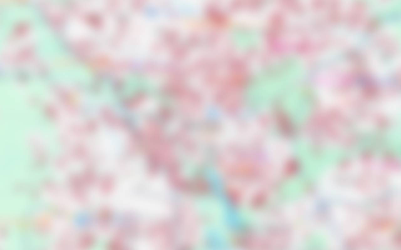 Low-resolution preview of the map
