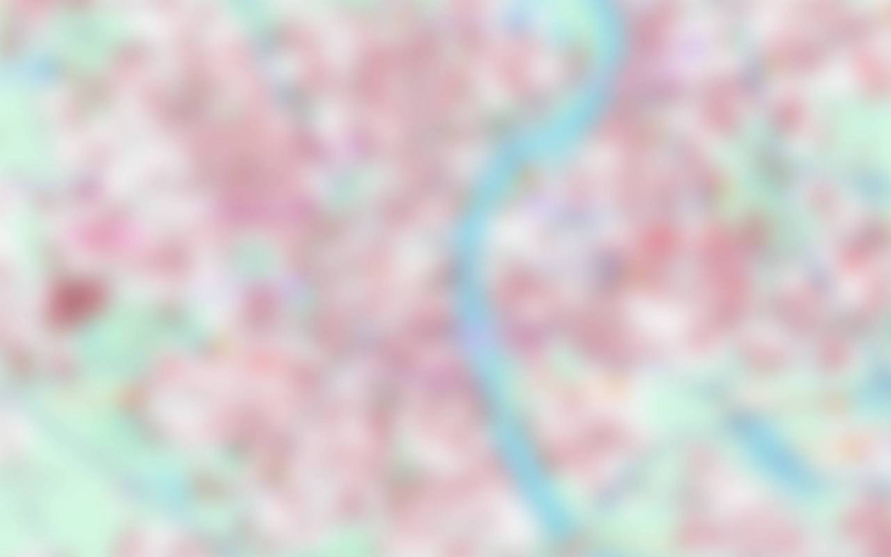 Low-resolution preview of the map