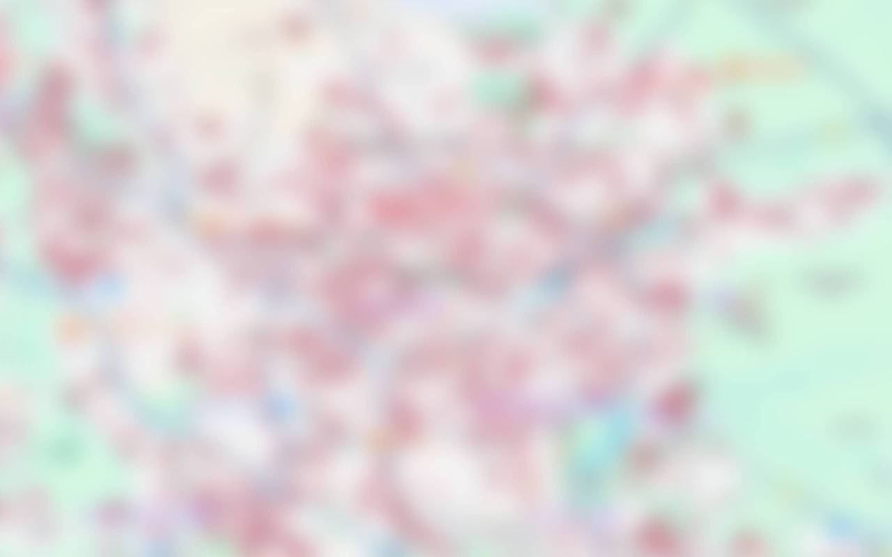 Low-resolution preview of the map