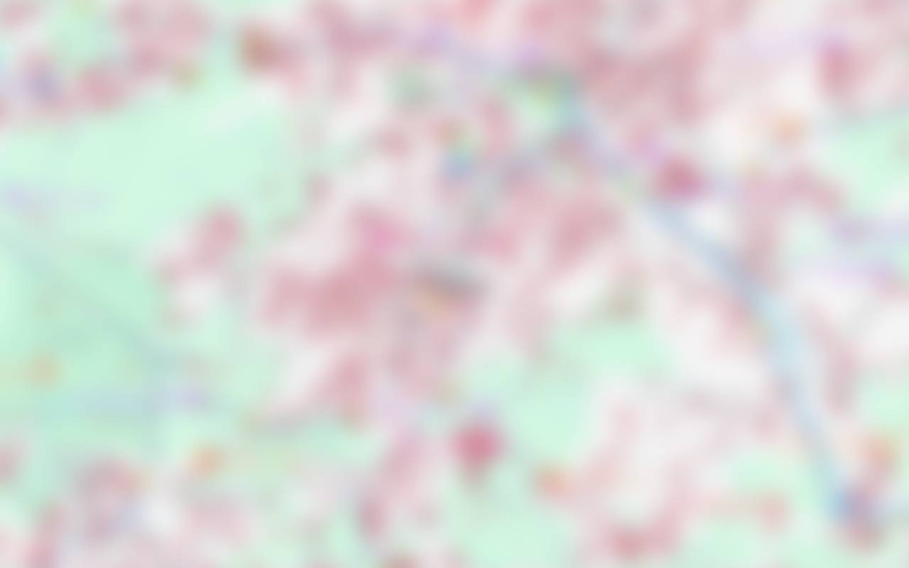 Low-resolution preview of the map